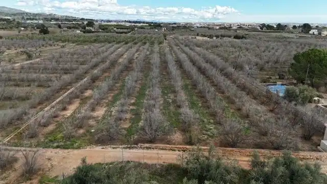 Terrenys i solars en venda a PDA PLANES DEL ROQUÍS POL 3 PARC. 47, imagen 2