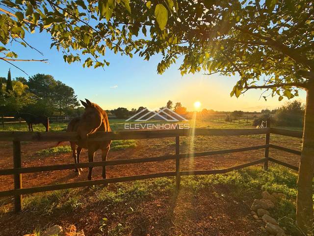 Finca rústica en Venta en Camí de s´Alzinar en Sencelles