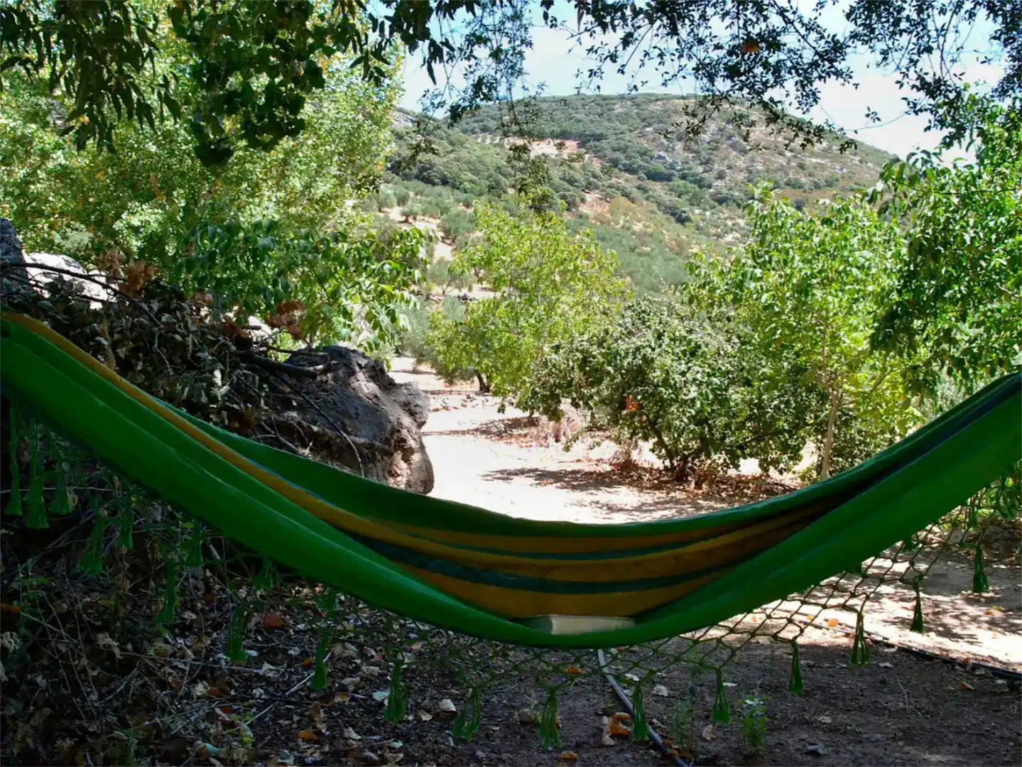 Garten von Country house zum Verkauf in Valdepeñas de Jaén mit Schwimmbad