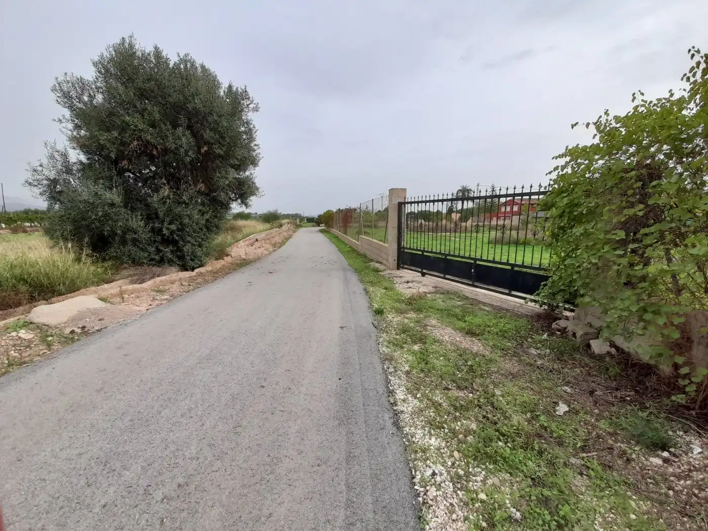 Casa o xalet en venda en Novelda amb Terrassa i Alarma