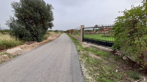 Foto 3 de Casa o chalet en venta en Camino Cami del Campet, Novelda, Alicante