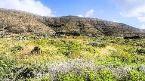 Foto 2 de Residencial en venta en Calle Valle Chico, 7, Vallebrón, La Oliva