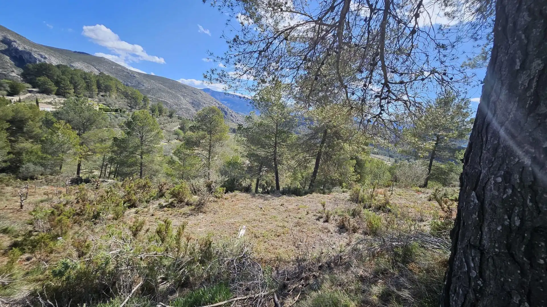 Terrain rustique à vendre à Millena, imagen 17