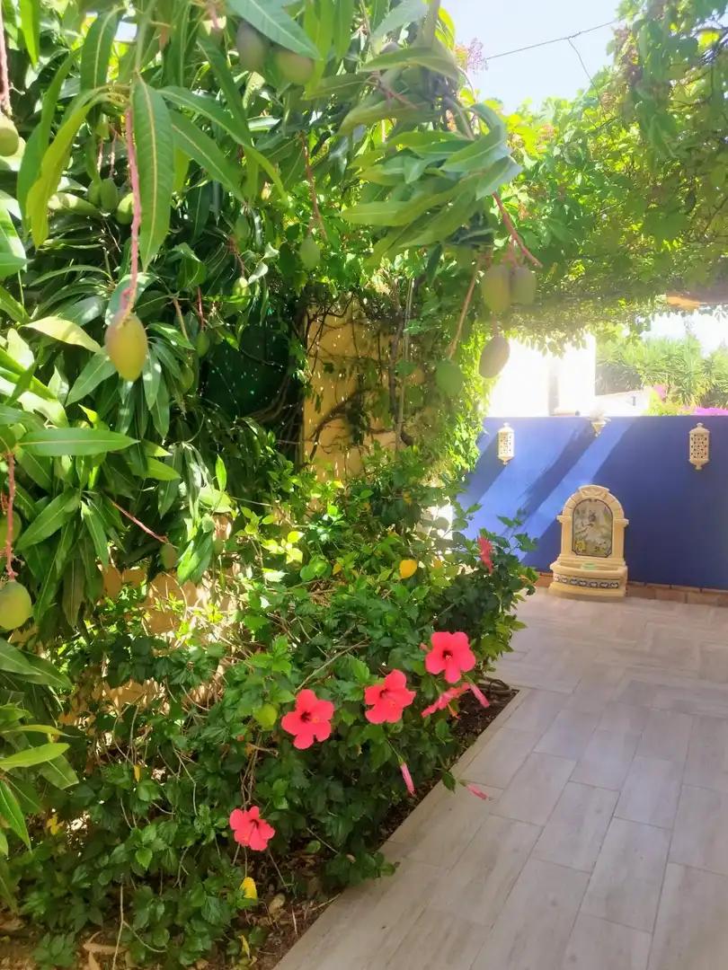 Villa avec jardin à vendre à Carretera Carretera Cerralba N-1, imagen 6