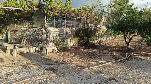 Foto 2 de Finca rústica en venta en Guía de Isora interior, Guía de Isora