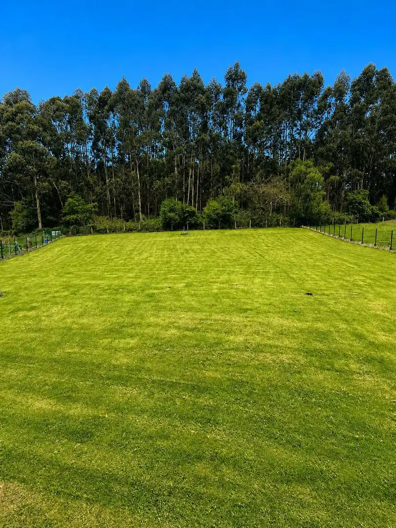Casa o xalet en venda en Corvera de Asturias amb Calefacció, Jardí privat i Terrassa