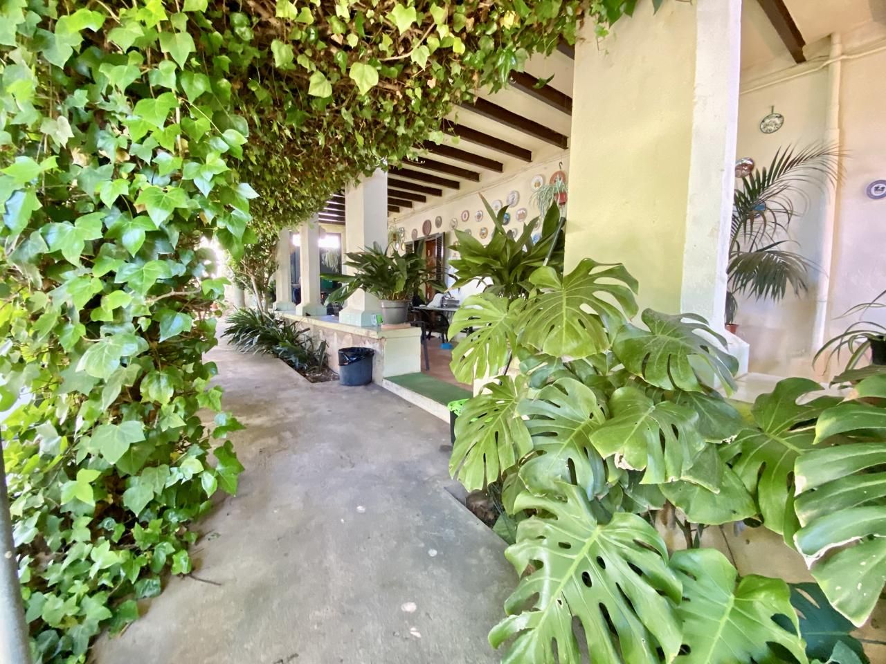 Casa o xalet en venda a Carrer de les Vinyes, Son Serra - Sa Vileta