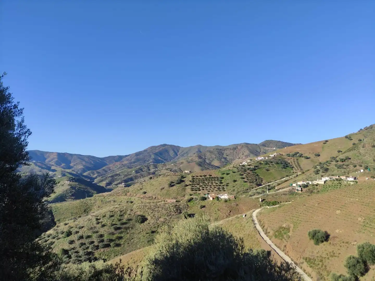 Vista exterior de Finca rústica en venta en Cútar con Jardín privado, Terraza y Piscina