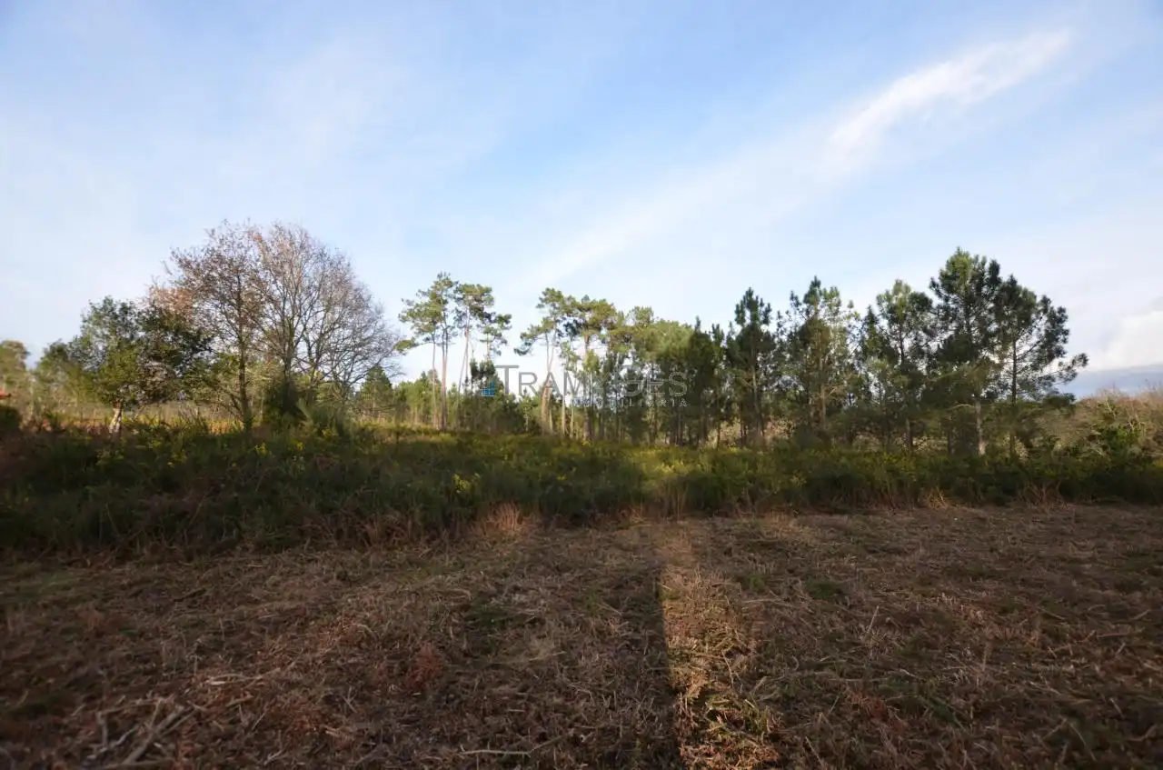 Terreno rustico in vendita a CARREGAL ABAIXO, imagen 10