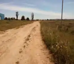 Terreno rústico en venta en C/ la Cort, imagen 9
