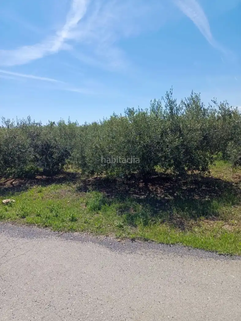 Rural land for sale in Carrer Molí del Mig 29, imagen 8
