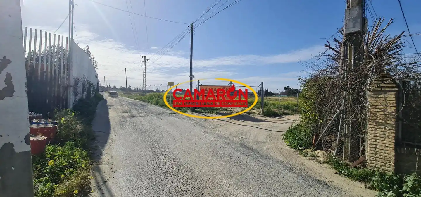 Terrenos y solares en venta en Coria del Río, imagen 4