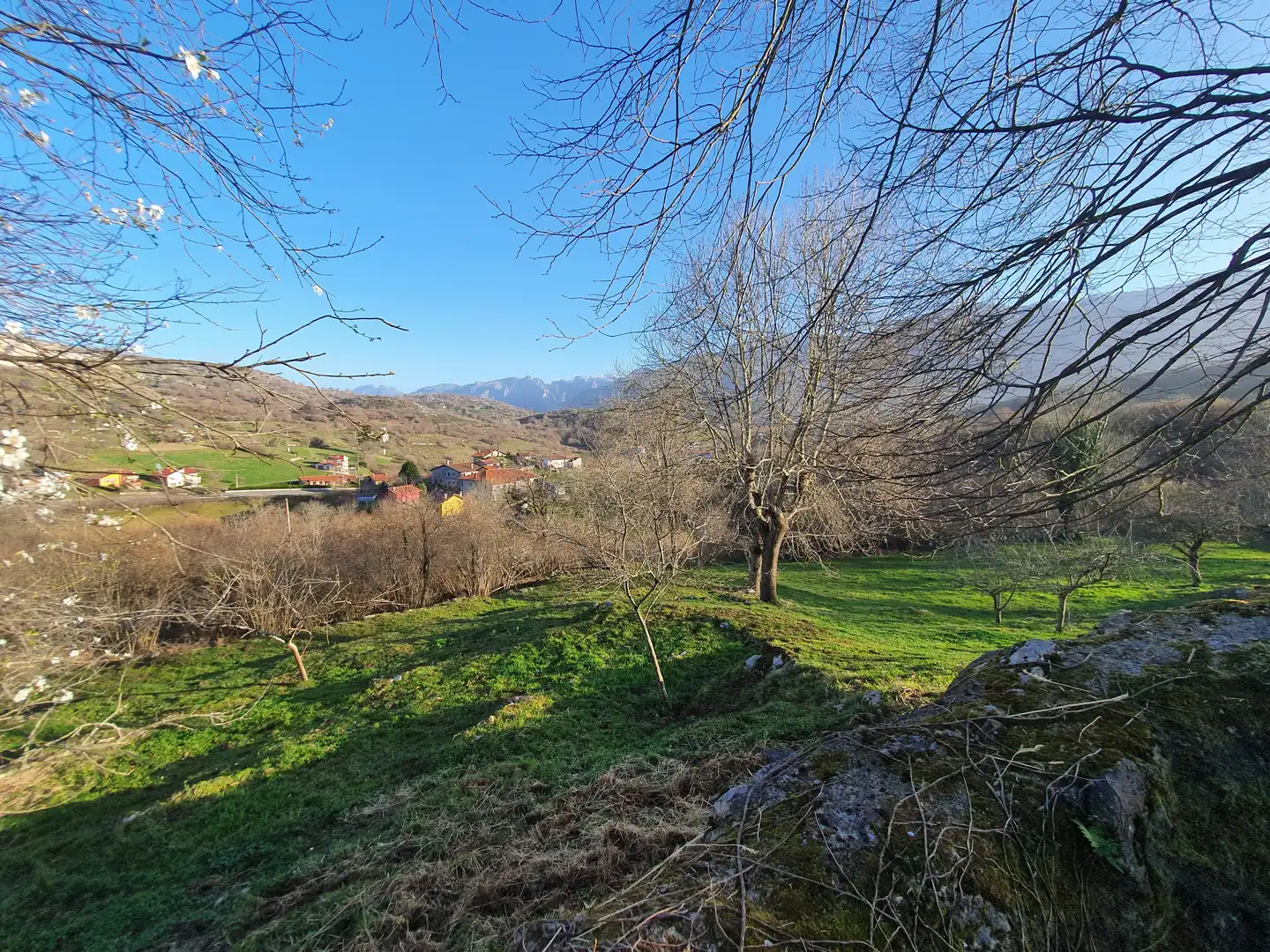 Country homes for sale in Cabrales