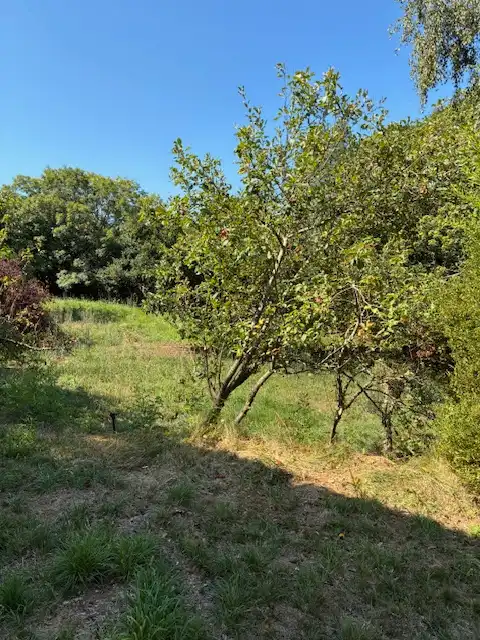 Maison avec jardin à vendre à Loureda - Lañas - Barrañán, imagen 40