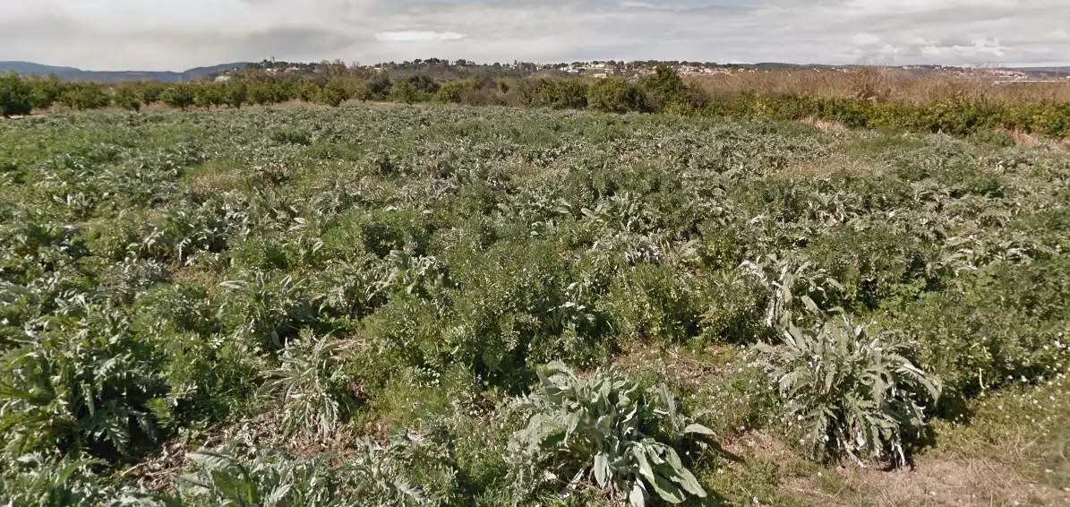Terreno rústico en venta en Villanueva de Castellón, imagen 5