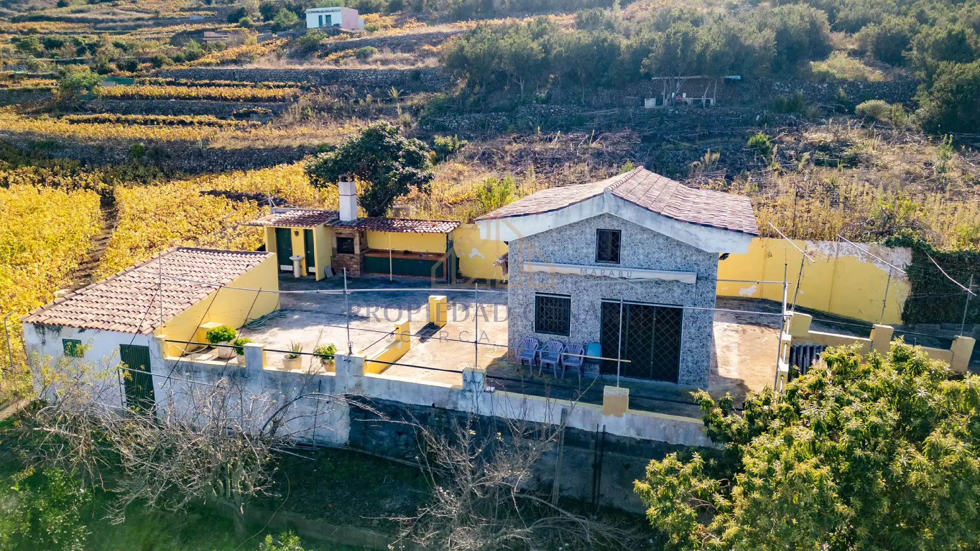 Vista exterior de Finca rústica en venda en Santa Úrsula amb Terrassa