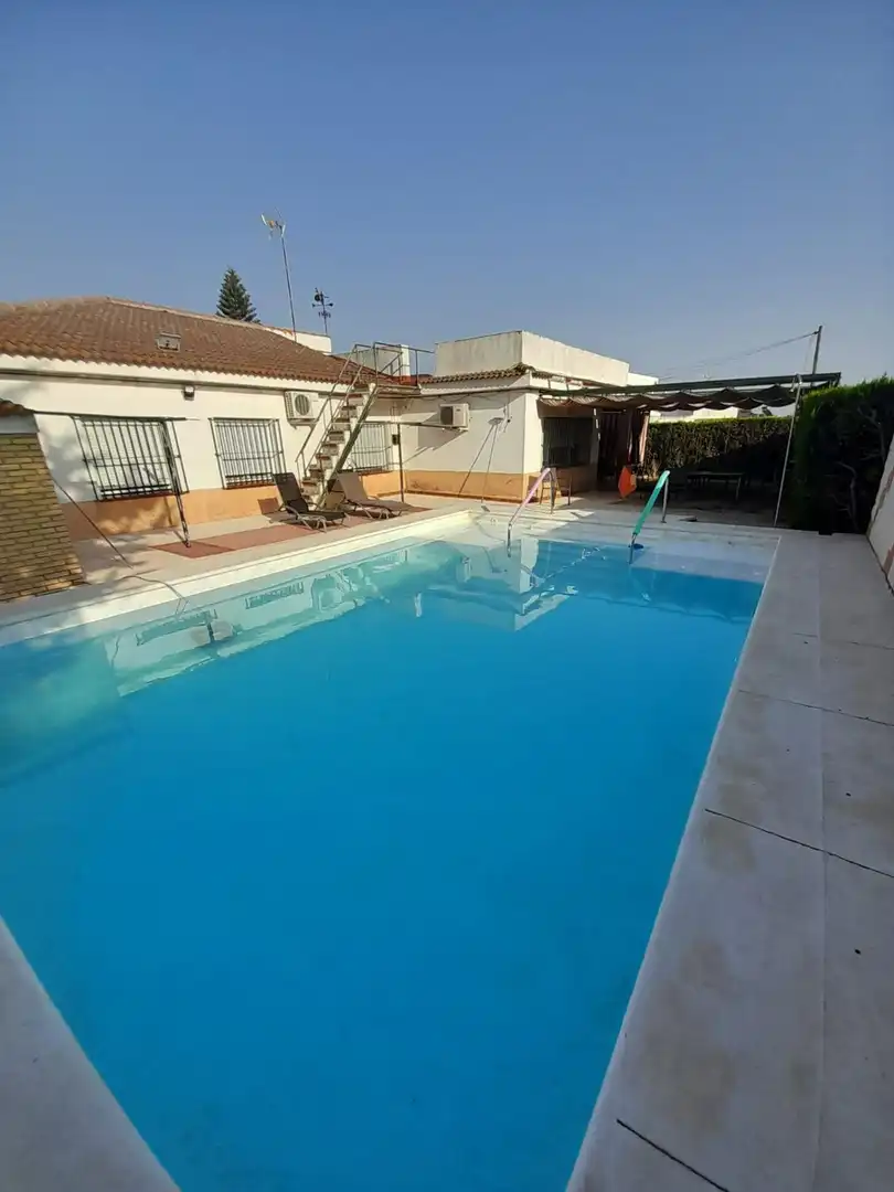 Piscina de Casa o chalet en venta en Palomares del Río con Aire acondicionado, Calefacción y Jardín privado