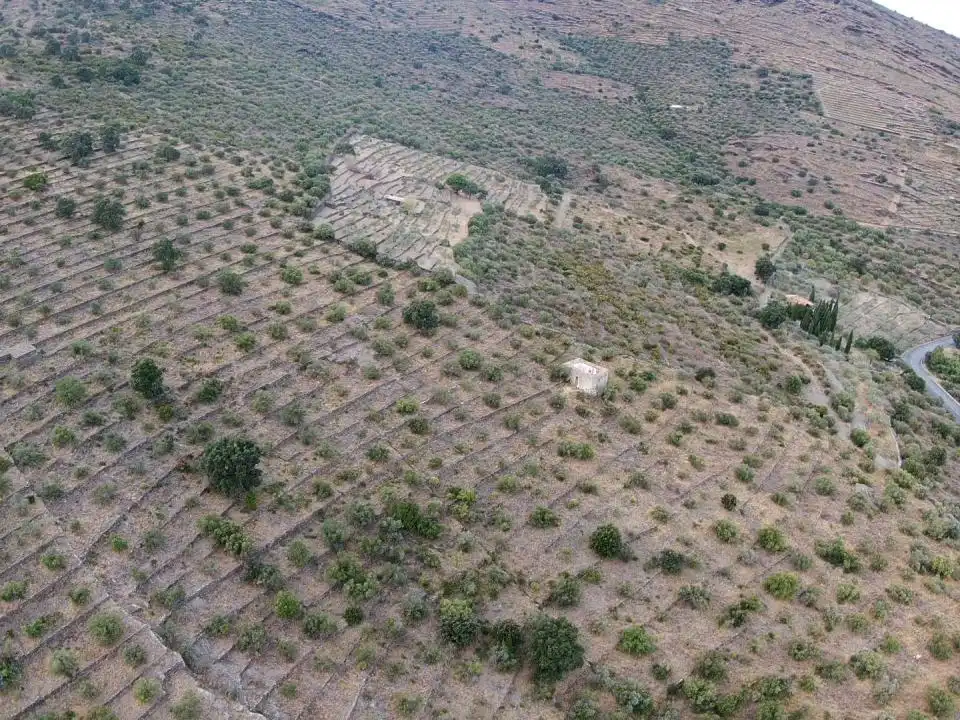 Lands and plots for sale in Territorio Surés, imagen 11