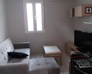 Living room of Flat to rent in  Madrid Capital  with Air Conditioner, Heating and Furnished