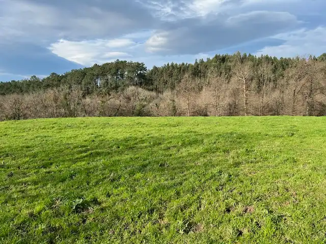 Land for sale in Lezama