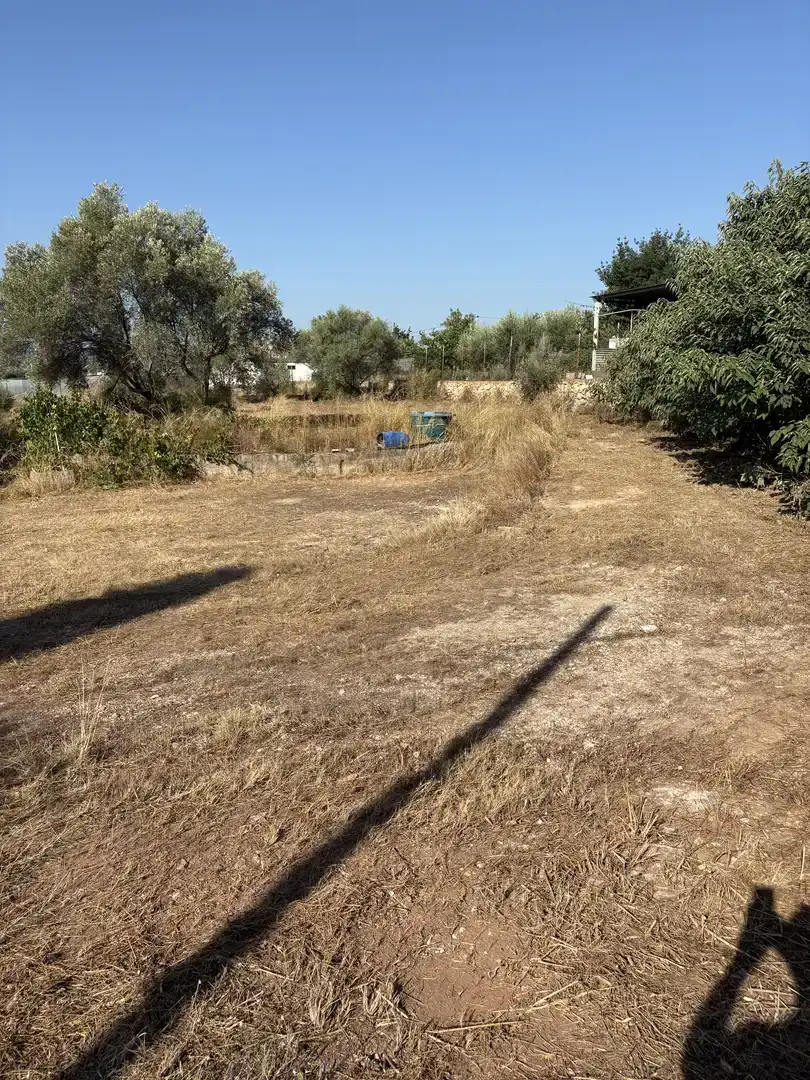 Finca rústica en venda en L'Alcora