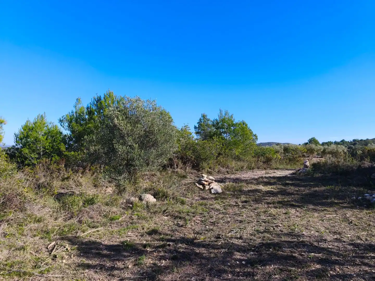 Rural land for sale in Carrer Fray Salvador 50, imagen 7