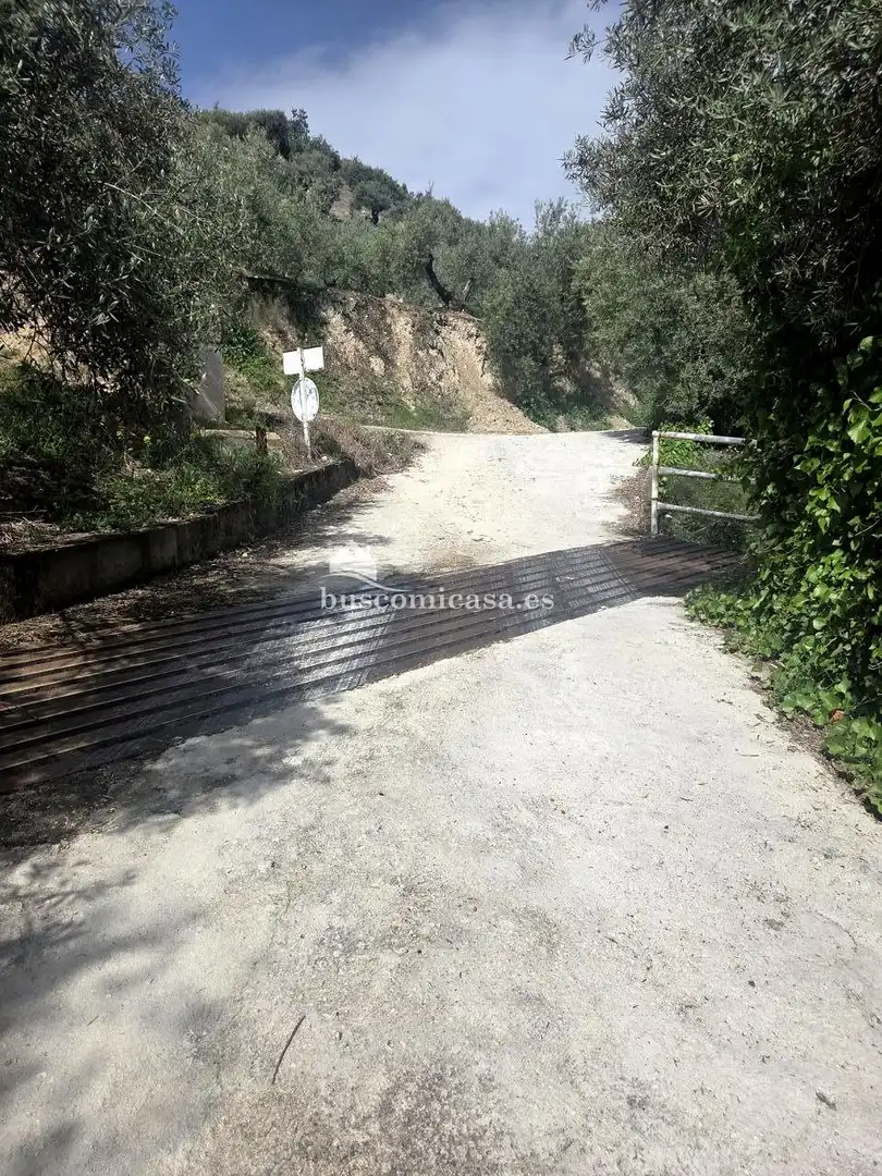 Vista exterior de Casa o xalet en venda en Jaén amb Jardí privat, Traster i Moblat