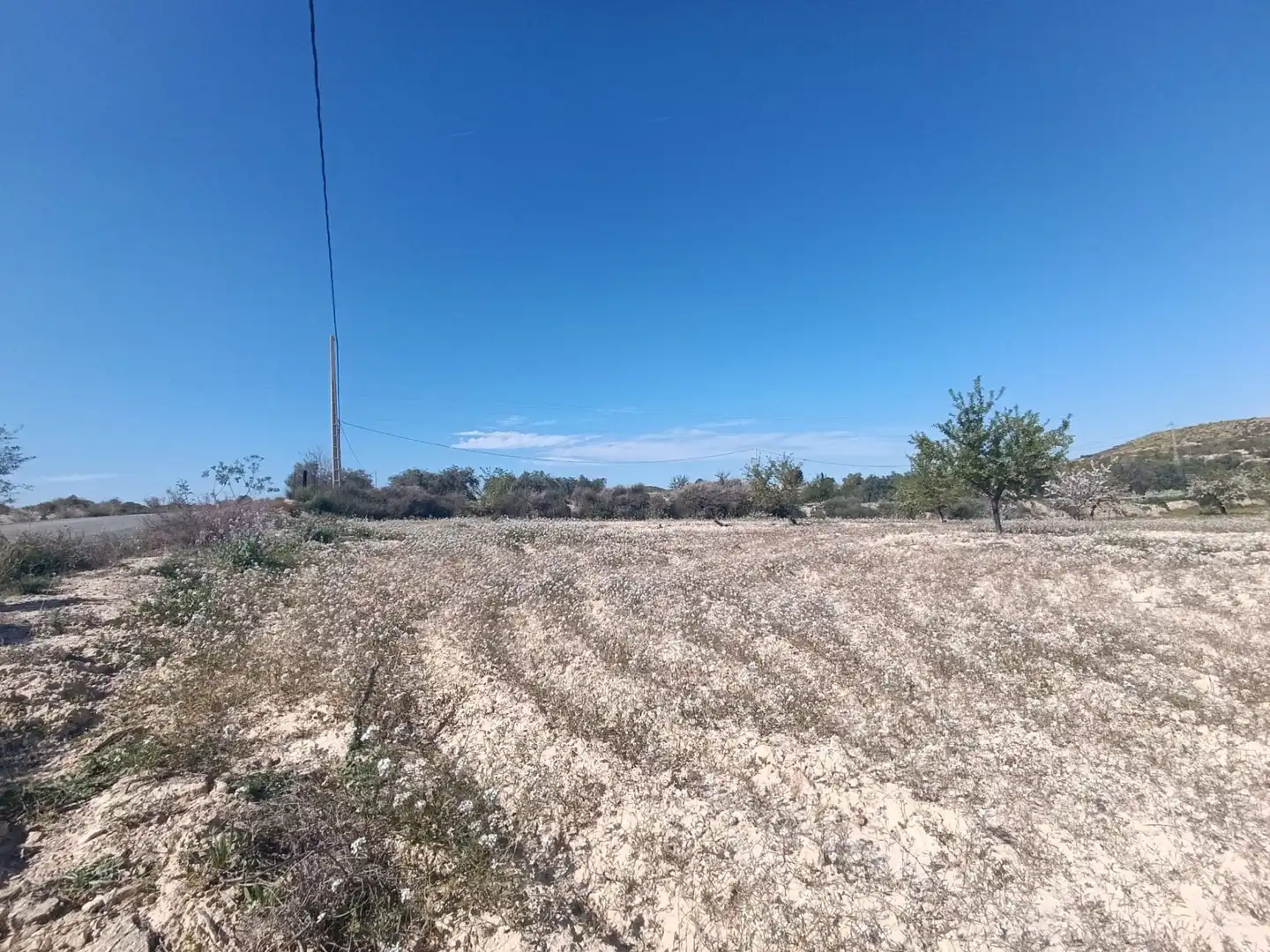Terreno rustico in vendita a Alcantarilla