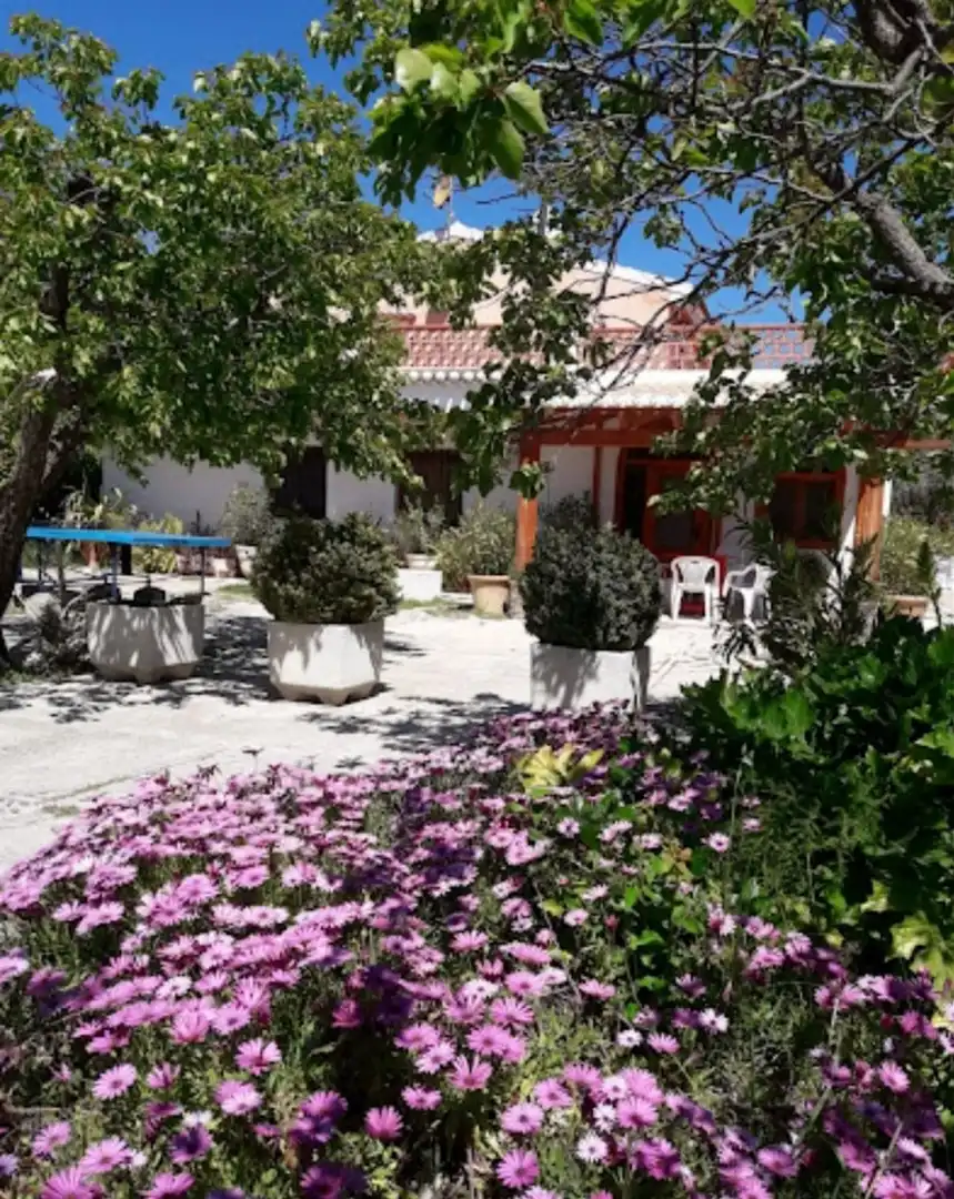 Villa con giardino in vendita a Camino Fuente del campo 53, imagen 13