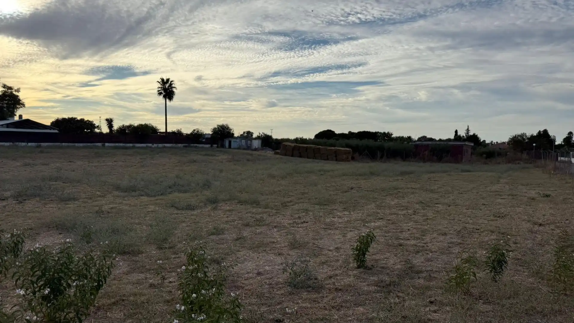 Terreni e lotti in vendita a Utrera ciudad, imagen 3