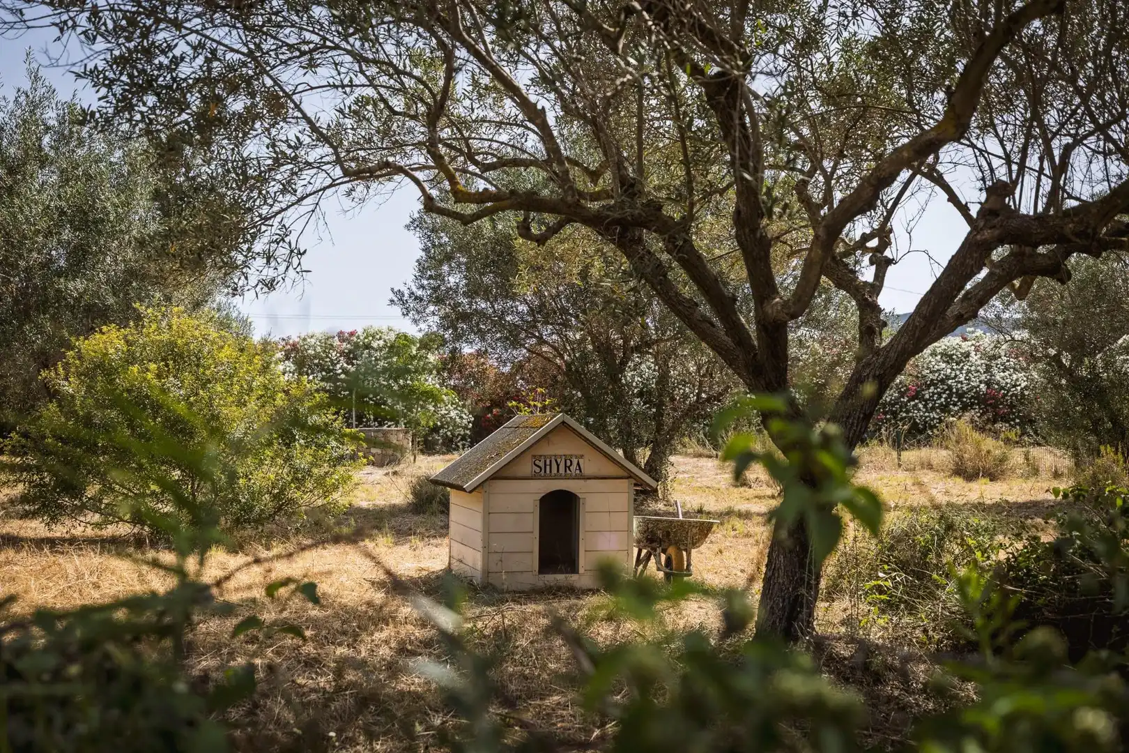 Jardí de Casa o xalet en venda en Pedreguer amb Aire condicionat, Calefacció i Jardí privat