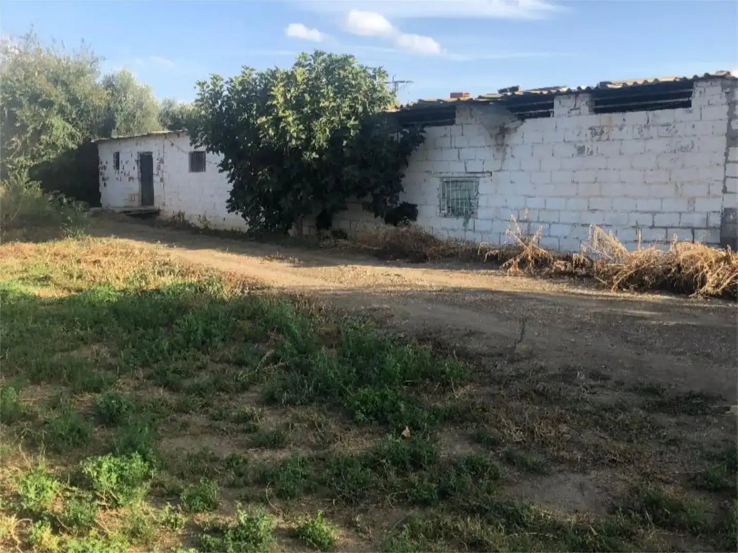Finca rústica en venda en Benalúa