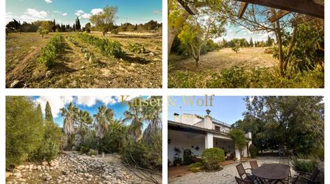 Foto 4 de Finca rústica en venda a De las Bayas, 1, Las Bayas, Alicante