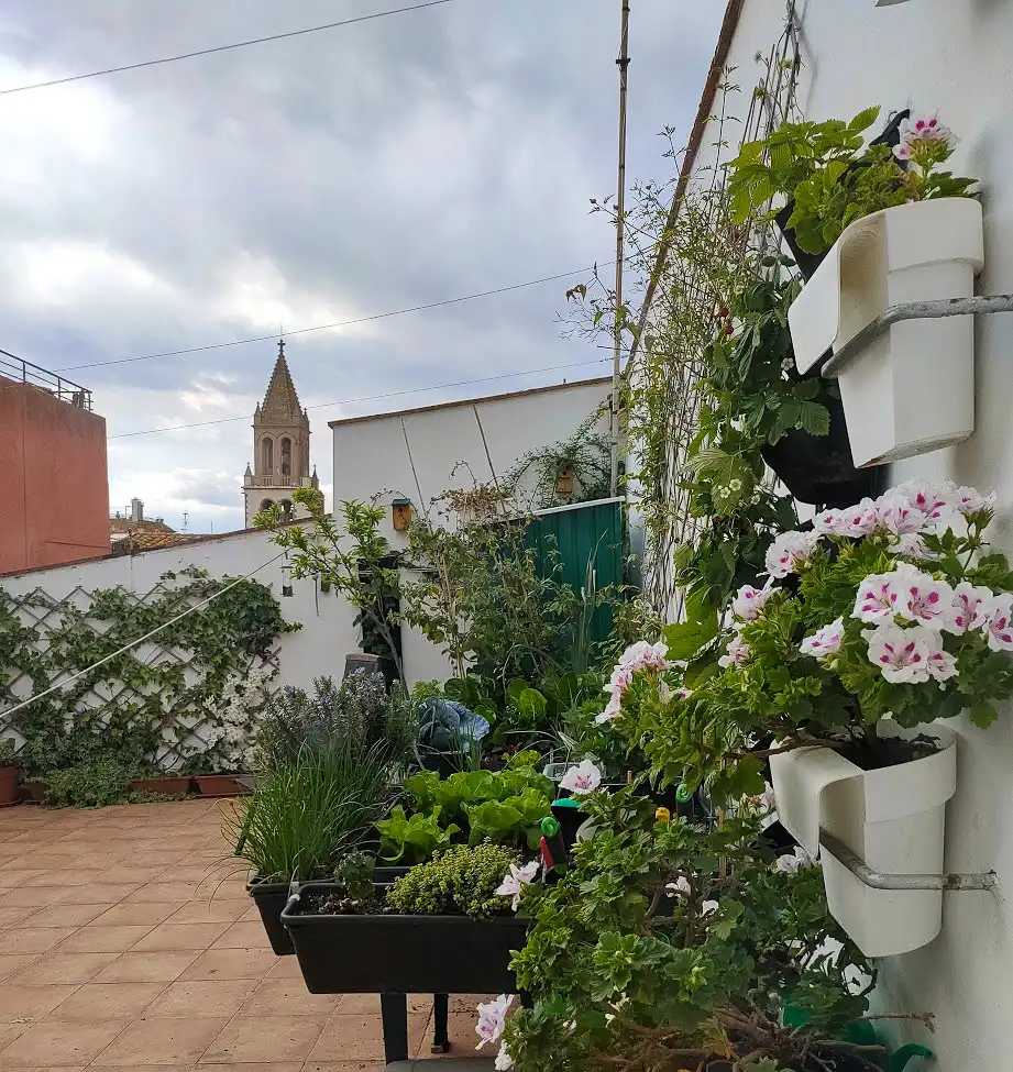 Garten von Einfamilien-Reihenhaus zum Verkauf in Palamós mit Parkett, Terrasse und Balkon