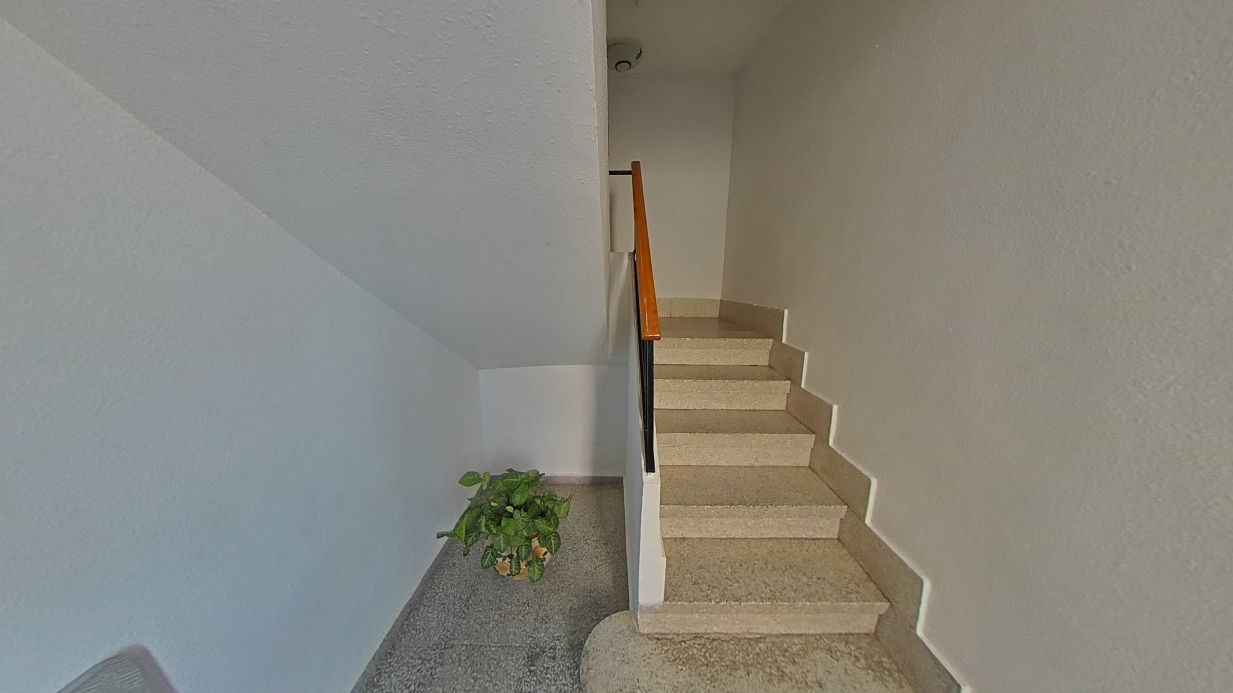 Pis en venda a Pago, Berja