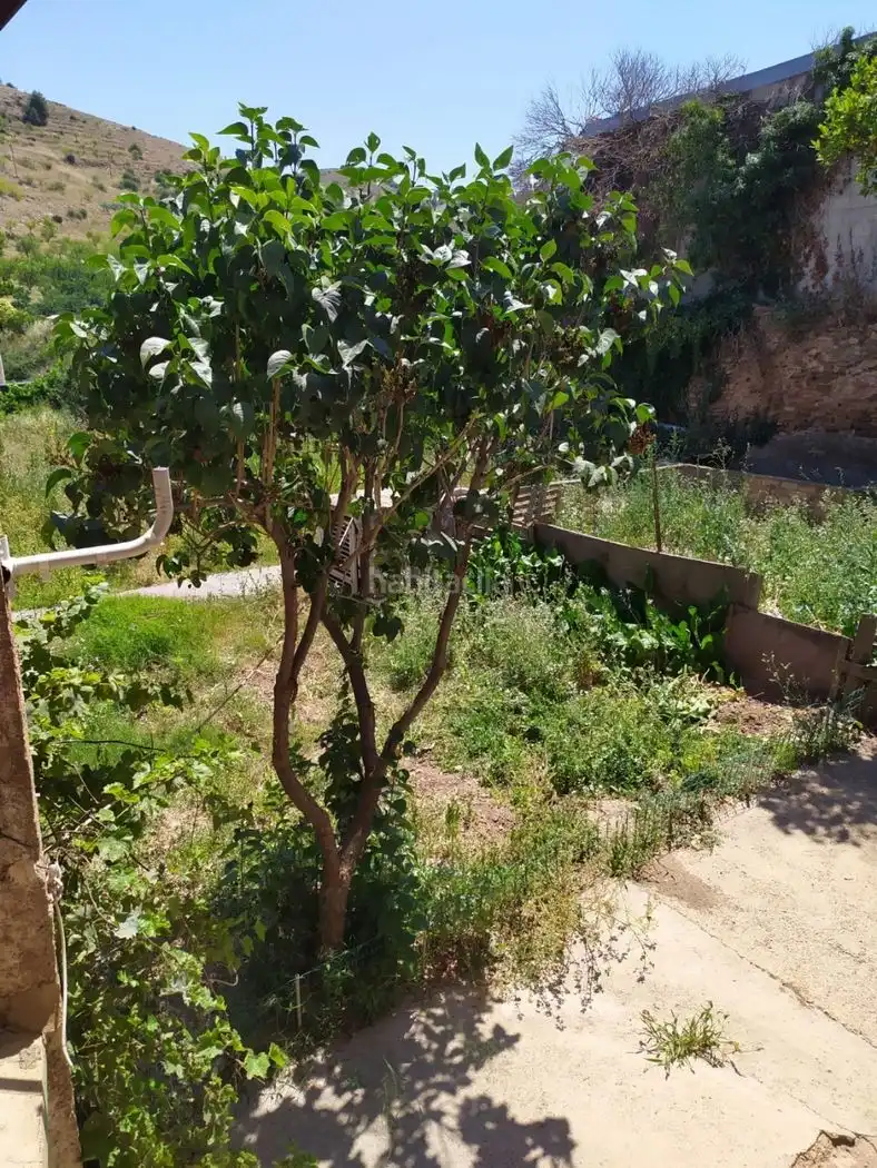 Casa con jardín en venta en Calle Joaquín Costa 23