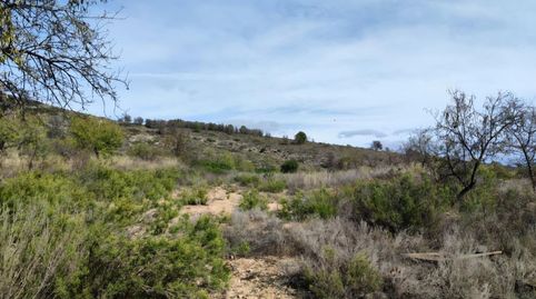 Terreno con caseta Castellar Poleo, immagine 4