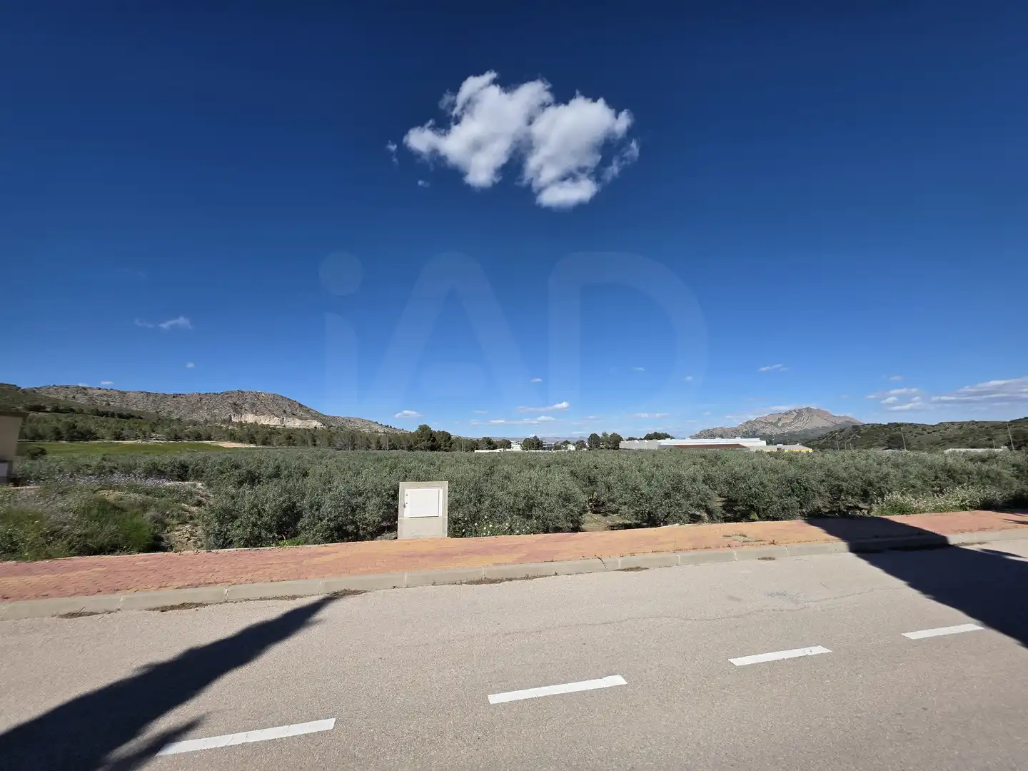 Terrenys i solars en venda a Calasparra