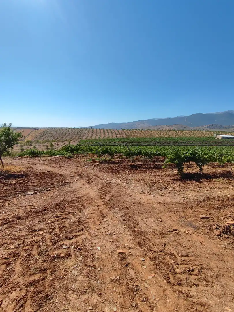Exterior view of Land for sale in Huéneja