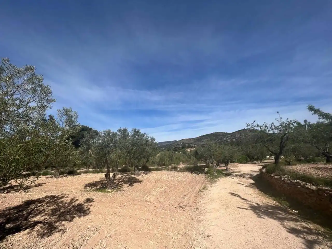 Chalet con jardín en venta en Calle Poligono, imagen 57