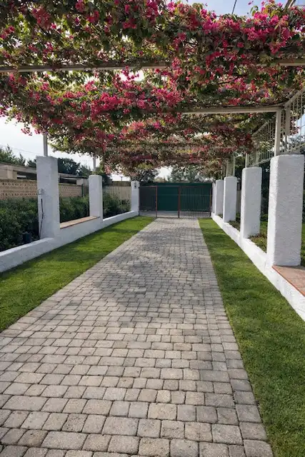 Vista exterior de Casa o chalet en venta en Almería con Jardín privado y Terraza