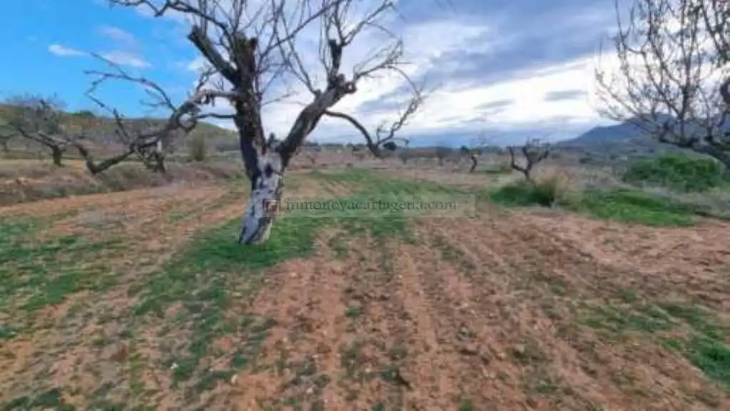 Maison rustique avec piscine à vendre à Poblado Galifa 141, imagen 12