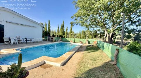 Foto 2 de Finca rústica en venda a Pilas, Sevilla