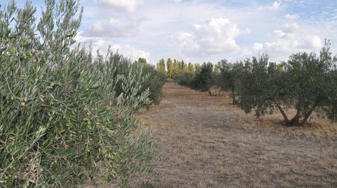 Photo 2 of Residential for sale in Villanueva de Alcardete, Toledo