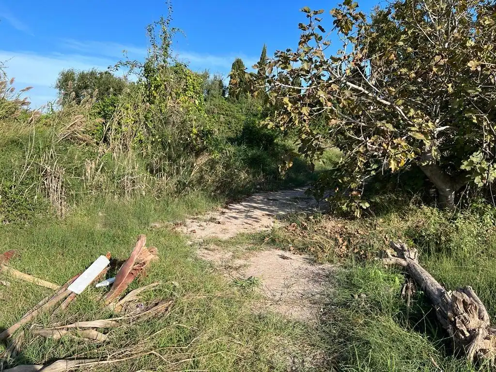 Terreno rústico en venta en Camino CANAL, imagen 3