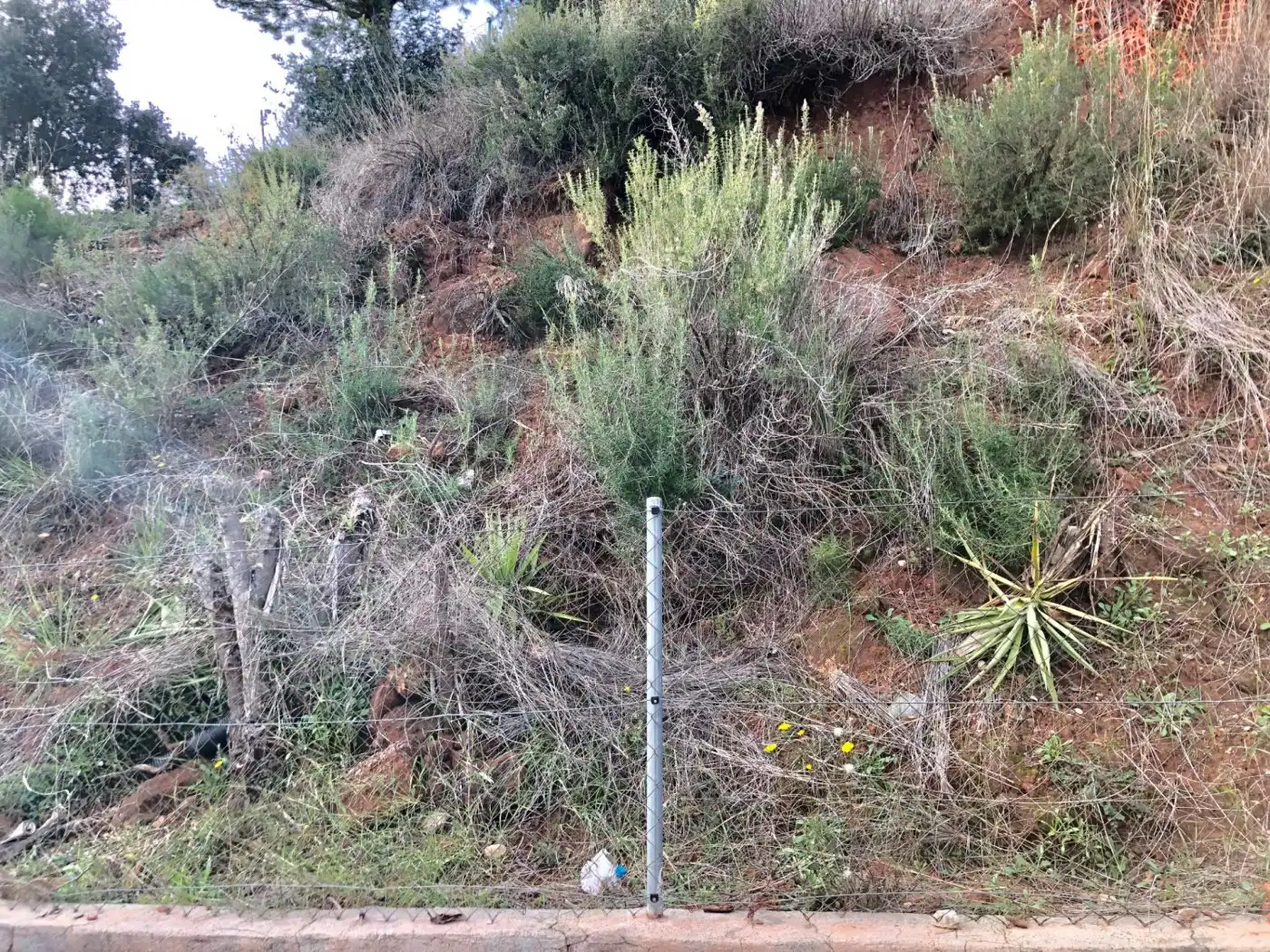 Terrain résidentiel à vendre à Abrera, imagen 2