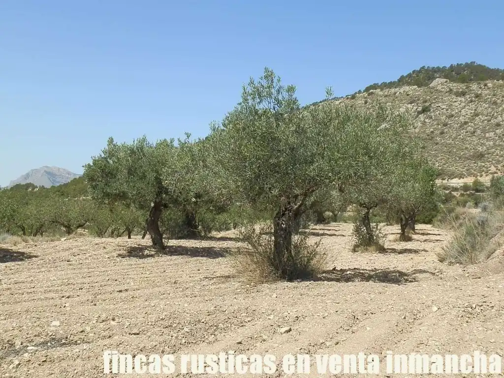 Terreny rústic en venda a Jijona / Xixona, imagen 14