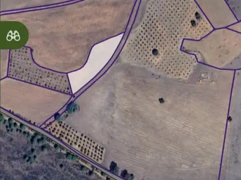 Rustikales Grundstück zum Verkauf in camino Mestanza 1, imagen 4