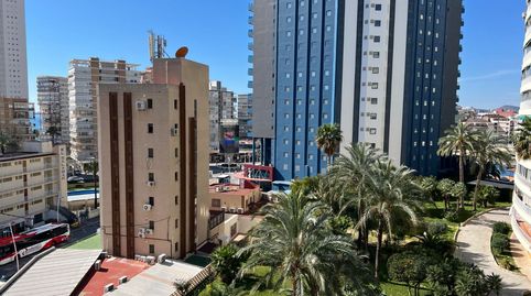 Piso céntrico de 3 dormitorios en Benidorm, imagen 4