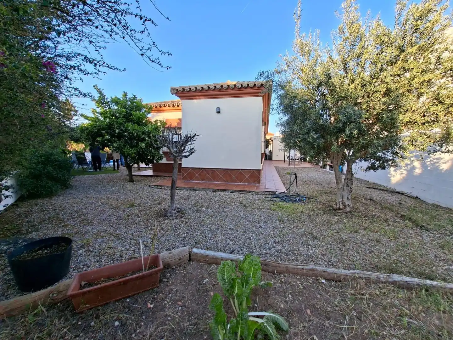 Exterior view of Houses for sale in Chiclana de la Frontera  with Private garden